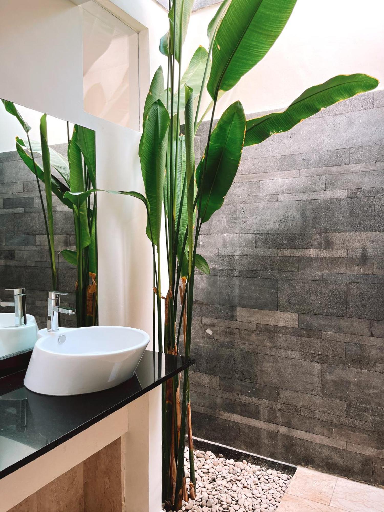 Aster Villa Seminyak Экстерьер фото
